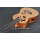 Ukulele de guitarra pequena com padrão de 23 polegadas
